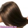 Кора дуба для волос: отзывы и рецепты Средства для придания жесткости волосам