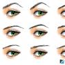 What should be the ideal eyebrows? Eyebrow height