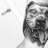 Pitbull tattoo: meaning, sketch, photo